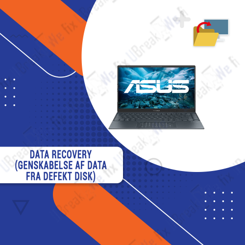 Asus Laptop & Desktop - Data Recovery (Recovery of Data from Defective Disk)