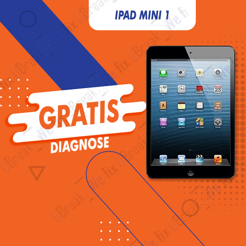 iPad Mini 1 Free Diagnosis (Device Overview)
