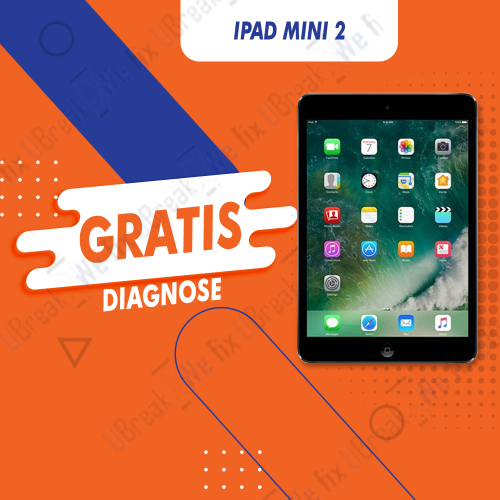 iPad Mini 2 Free Diagnosis (Device Overview)