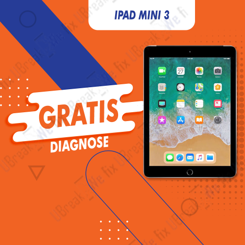 iPad Mini 3 Free Diagnosis (Device Overview)