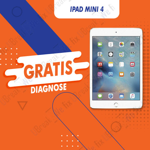 iPad Mini 4 Free Diagnosis (Device Overview)
