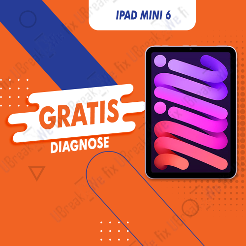iPad Mini 6 Free Diagnosis (Device Overview)