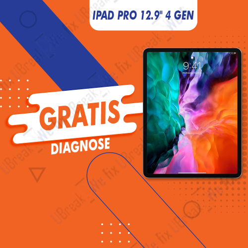 iPad Pro 12.9" 4 Gen Free Diagnosis (Device Overview)