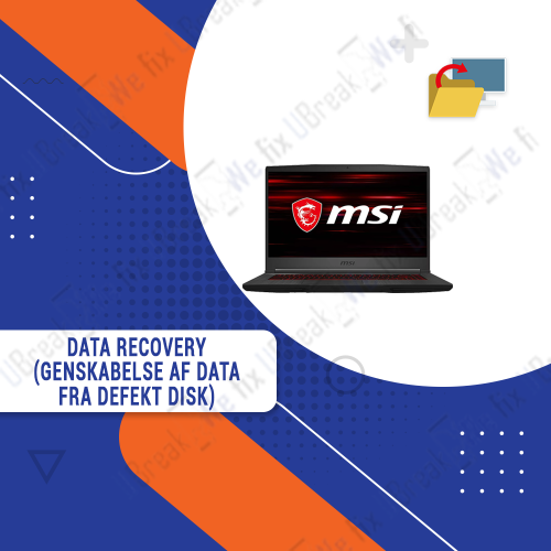 Msi Laptop & Desktop - Data Recovery (Recovery of Data from Defective Disk)